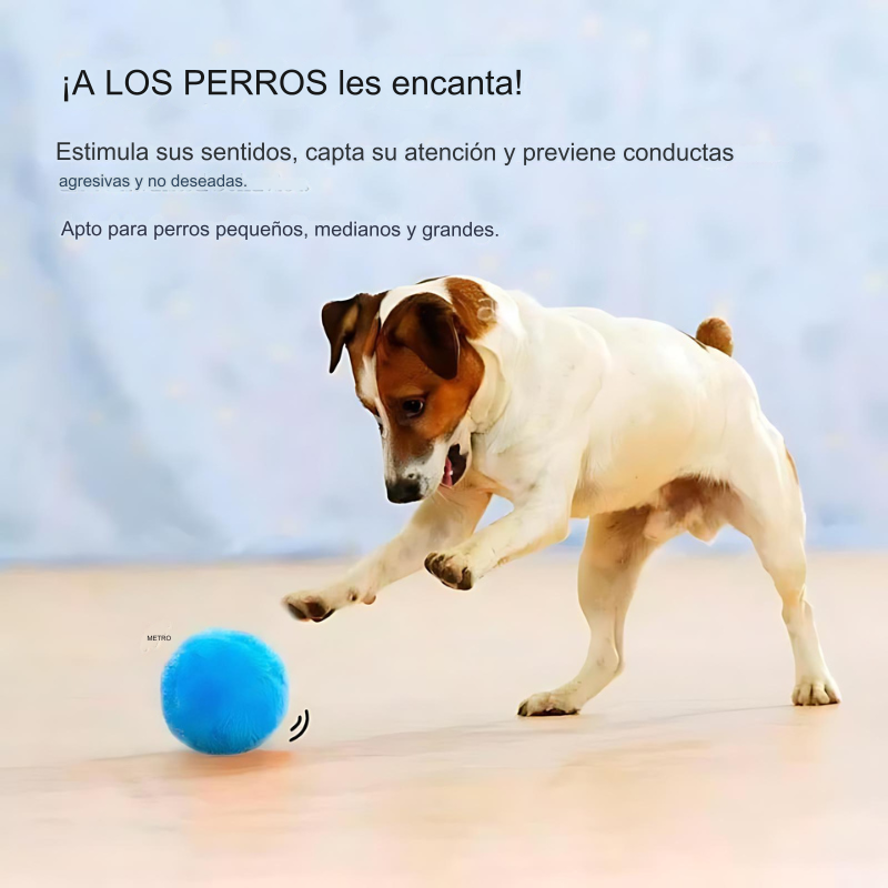 Magic Roller Ball!" - La Solución Perfecta para la Ansiedad de tu Perro