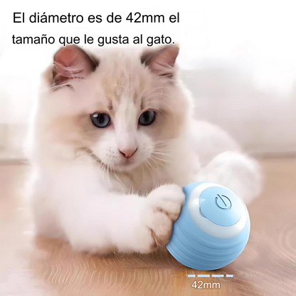 PetzySpin™️ -  "¡Haz que tu mascota Juegue con alegría!"